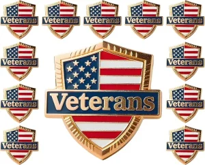 12 pieces United States Veterans pin