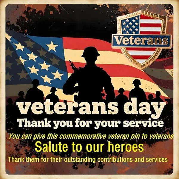 12 pieces United States Veterans pin - Image 6